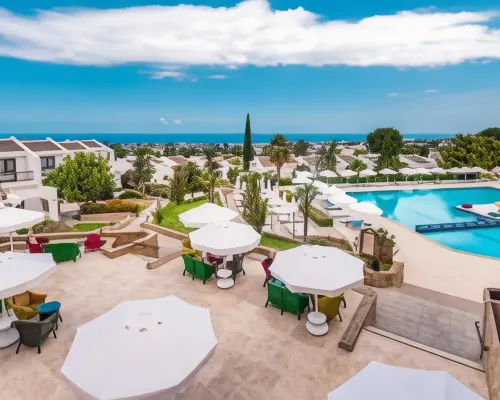 The Olive Tree Hotel Hotels in Catalkoy