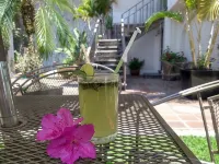 Hotel Ilebal Cuernavaca Centro - Lugar Con Encanto!