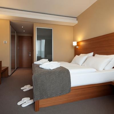 Standard Room 1 Double bed Bohinj Eco Hotel Promo Code