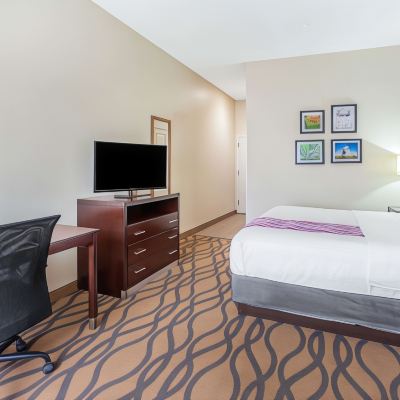 1 King Bed, Mobility Accessible Room, Roll-In Shower, Non-Smoking