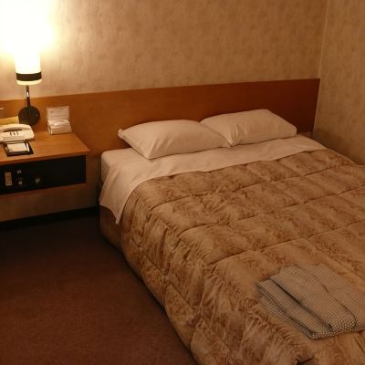 [Smoking]Double Room 〜for Couples Or Solo Travelers〜 [Standard] [Double Room] [Smoking] 三原国際ホテル クーポン