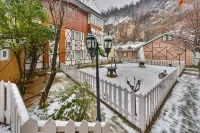 Hotel Metropolis Srinagar