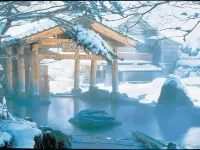 Takaragawa Onsen Ousenkaku فنادق في میناکامی