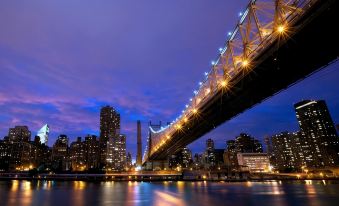 Fairfield Inn & Suites by Marriott New York Queens/Fresh Meadows - Housity
