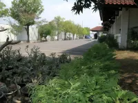 باهاري إن تيجال فنادق في 