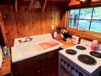 Grayling, MI - Fisherman's Log Cottage on the "Holy Waters" of the AuSable River