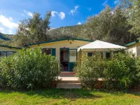 Camping Oliva Mobile Homes Hotels in Labin