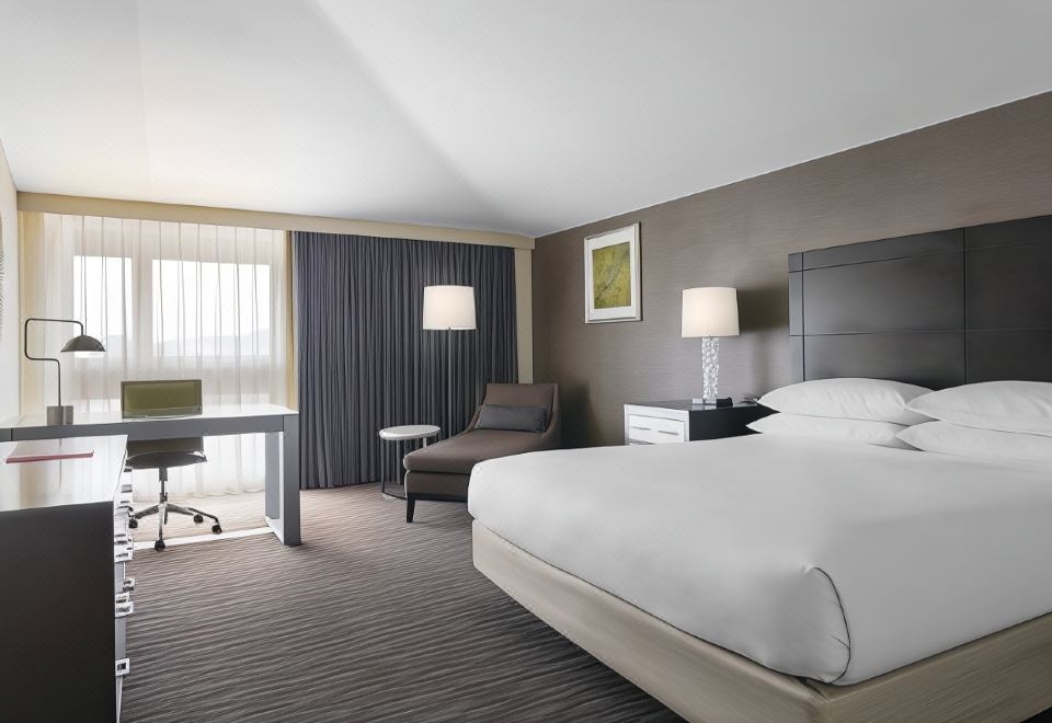 傳統客房 - 1張特大床