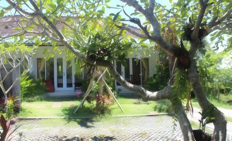 Summer Homestay Bali