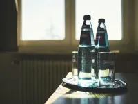 Boutique Hotel Kokoschinski Ξενοδοχεία στην πόλη Feldberg