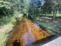 Peaceful Hideaway! New Listing