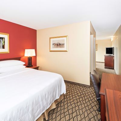 Suite-1 King Bed, Non-Smoking, Pillow Top Mattress, Sofabed, 2 Flat Screen Tvs, Microwave And Refrigerator, Coffee And Tea Maker Aviator Hotel & Suites, BW Signature Collection Promo Code