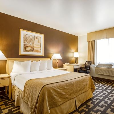 Standard Queen Room Quality Inn Petaluma Promo Code
