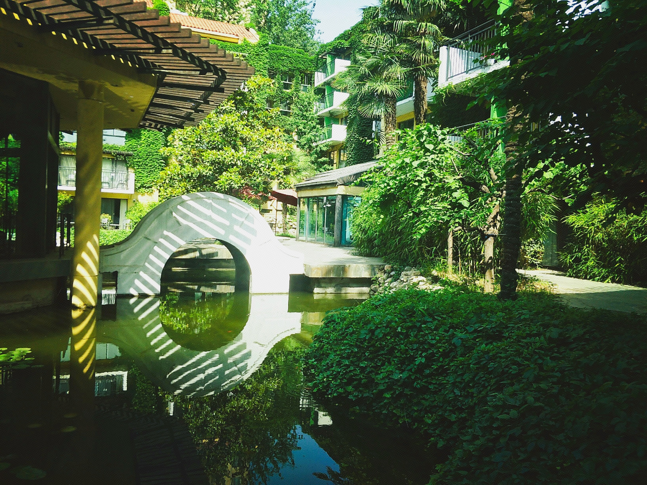 豪华套房超大床