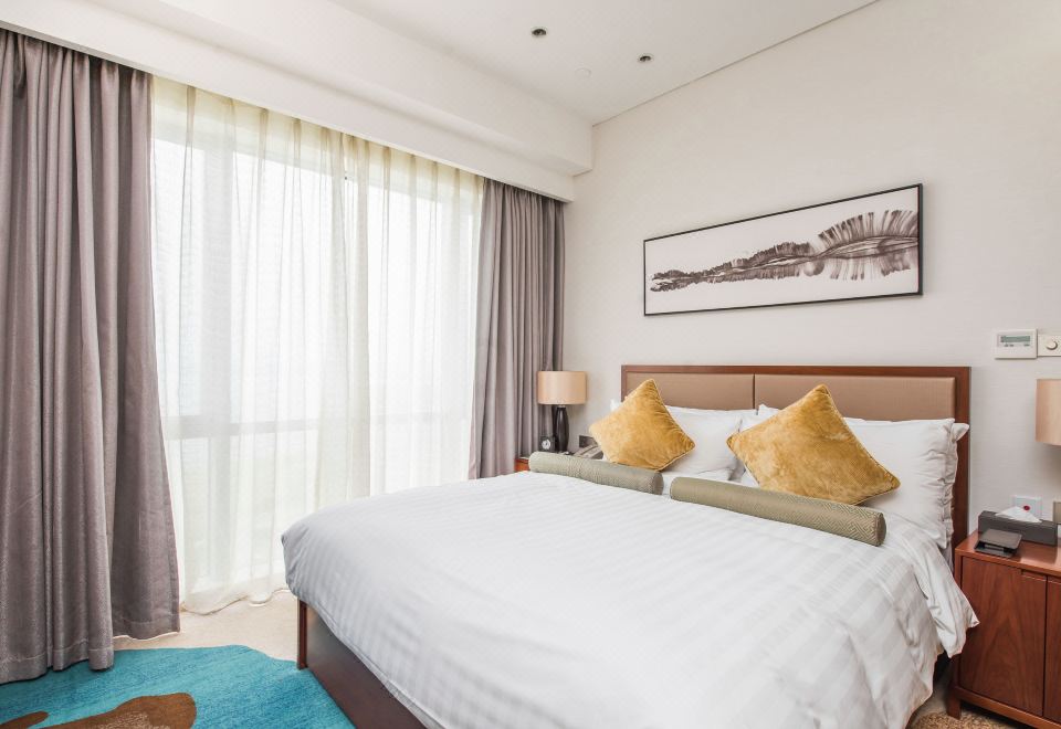 一房豪华套房（冰箱+洗烘一体机）