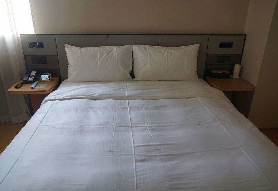 套房（65寸4K电视投屏+智能客控+沙发）