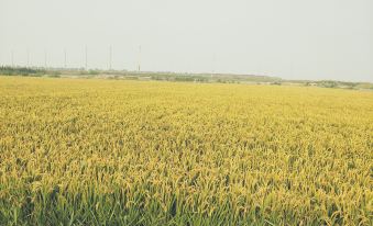 Red Beach Yuanjia Farmhouse