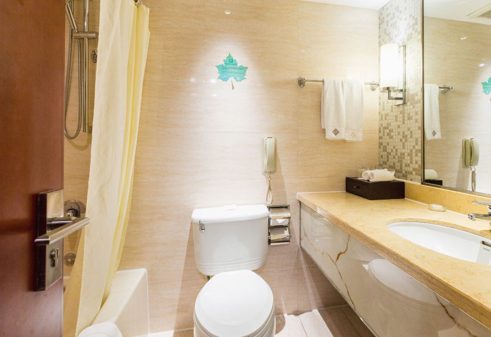 臻选湖景双床房