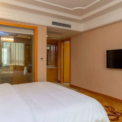 行政套房 維也納國際飯店（惠州新圩政府廣場店）優惠