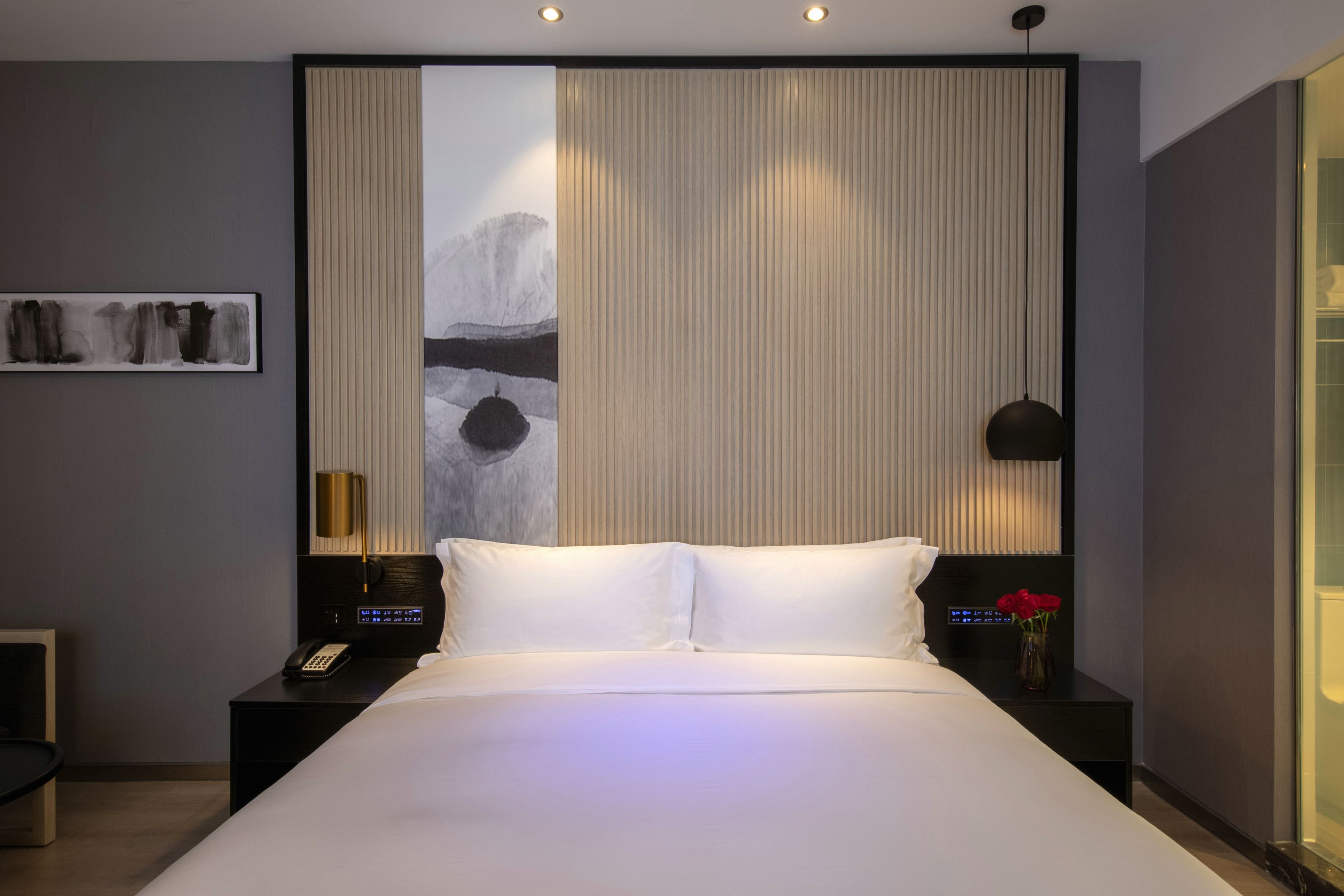 禅音（地暖+全屋智控+电视投屏+智能马桶）