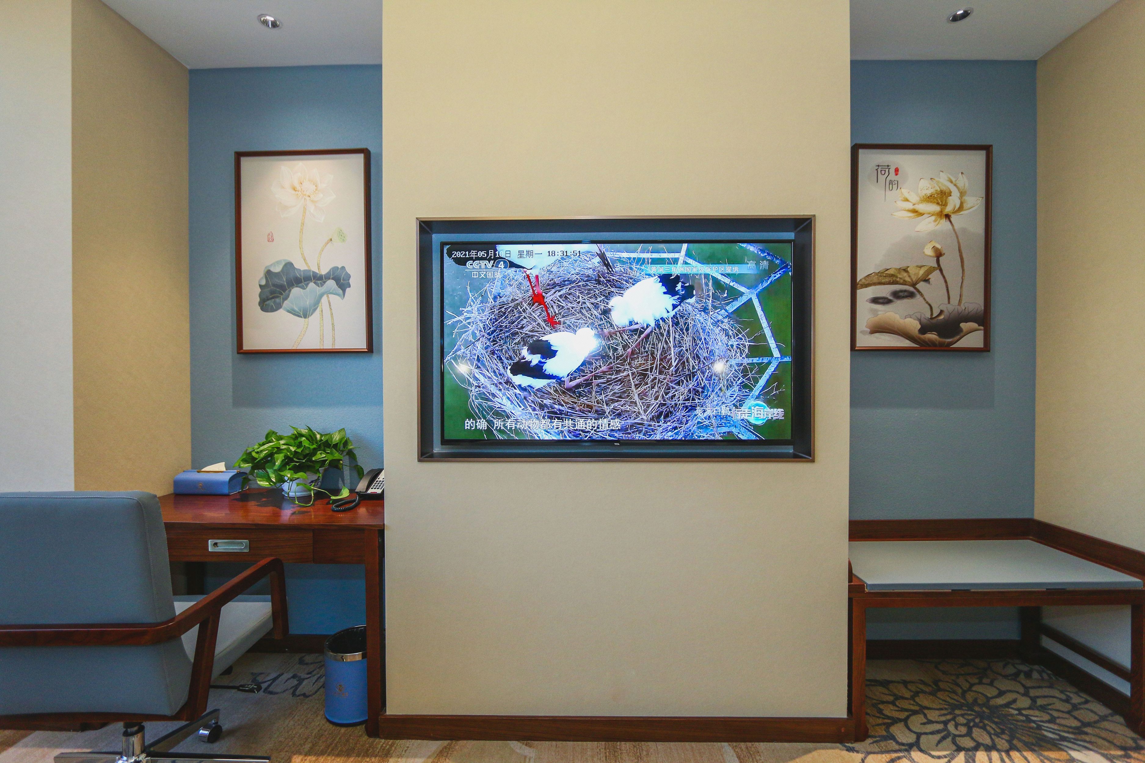 花园行政大床房（斯丽比迪床垫+智能马桶）