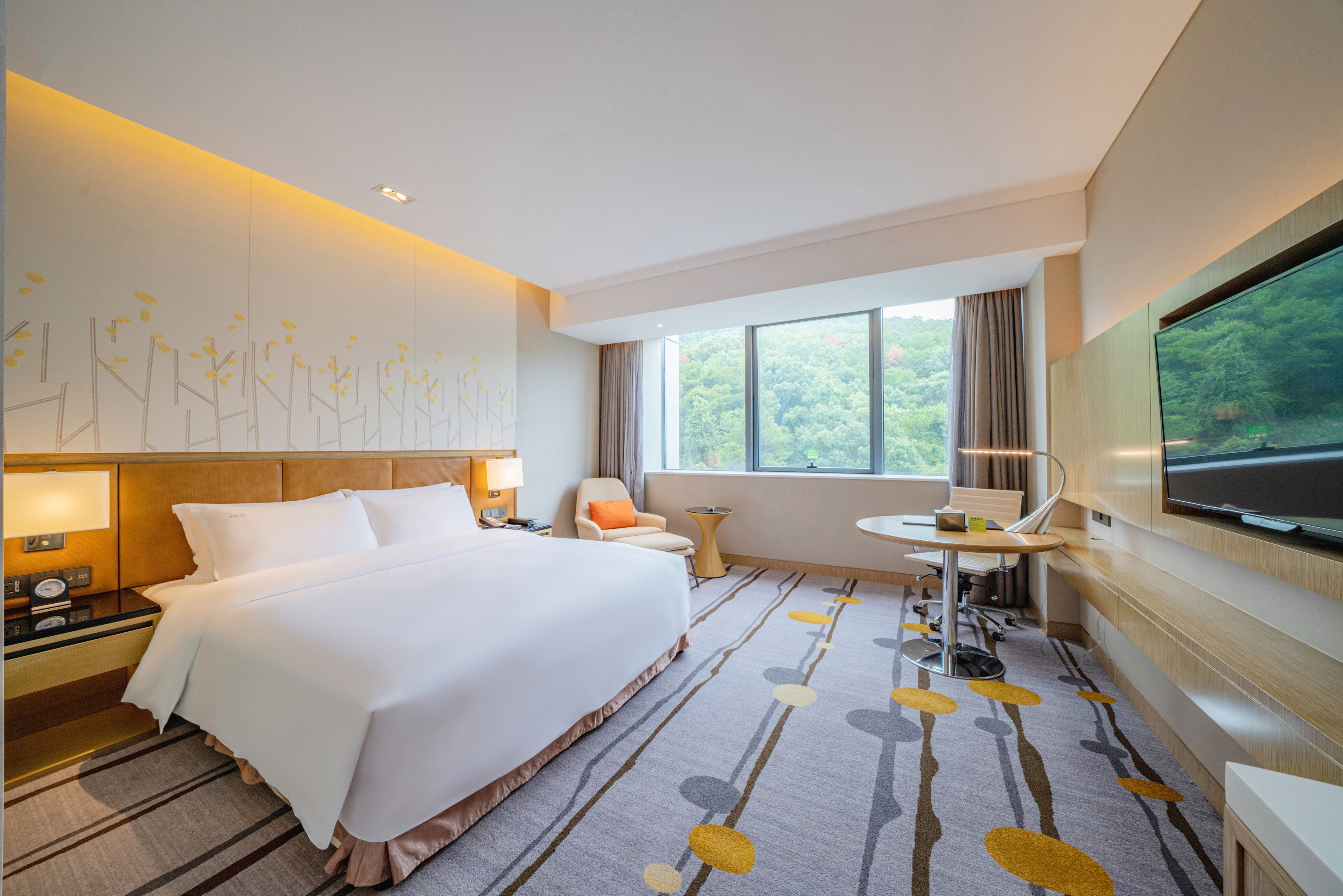 豪华山景大床房