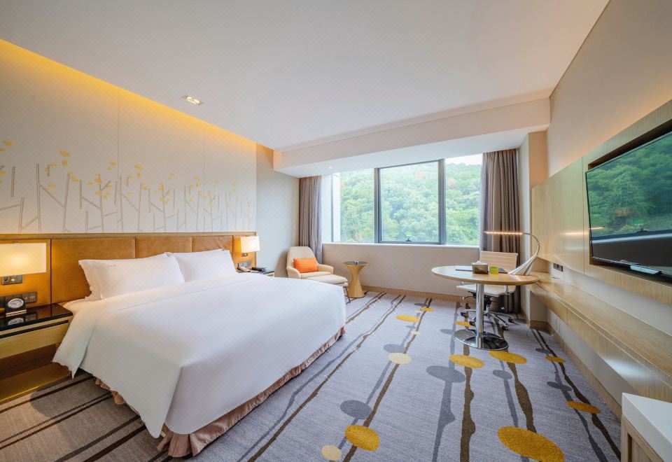 豪华山景大床房