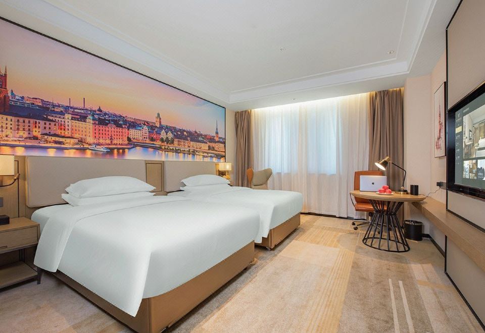 豪华双床房（智能客控+养生床垫+电视投屏）