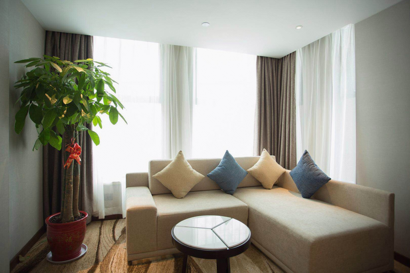 高级园林大床房