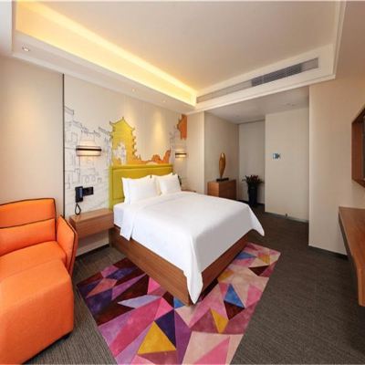 高級大床房（舒達專利床墊+科勒衛浴+小冰箱+梳化床） 合肥高新區希爾頓歡朋飯店優惠