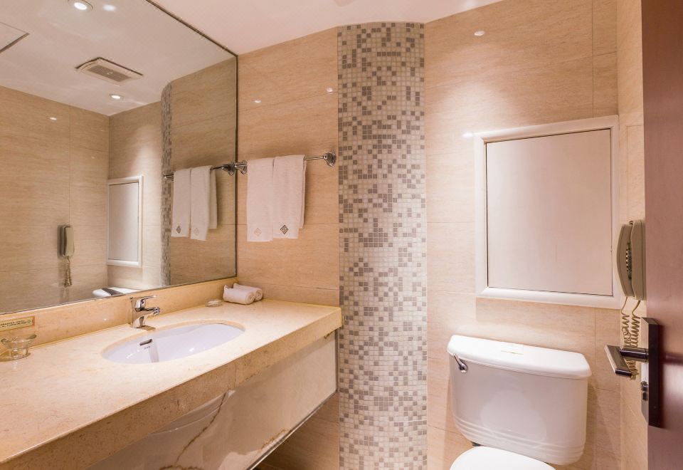 雅致湖景商务套房