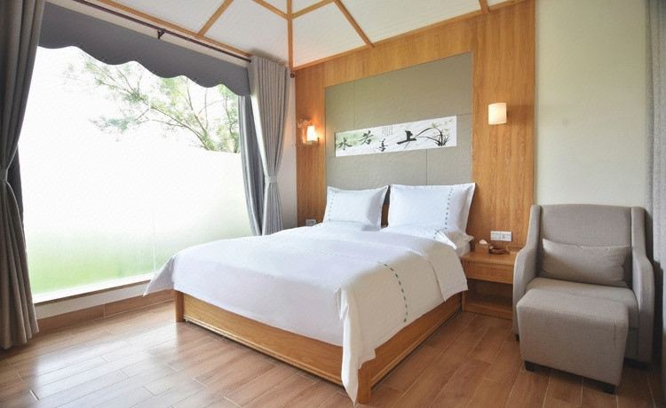 至尊四温泉大床房