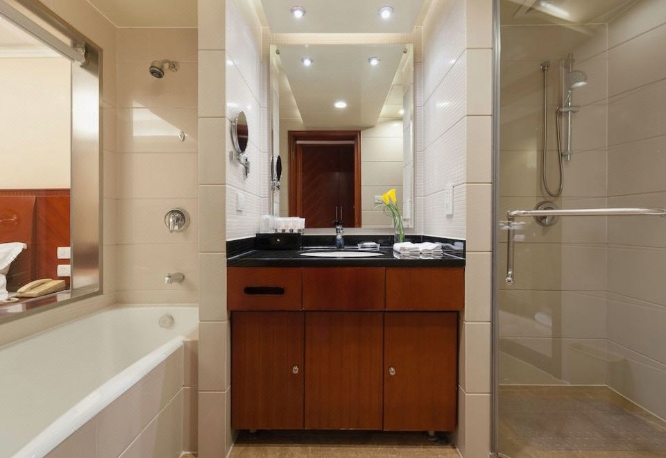 行政客房（乾濕分離）