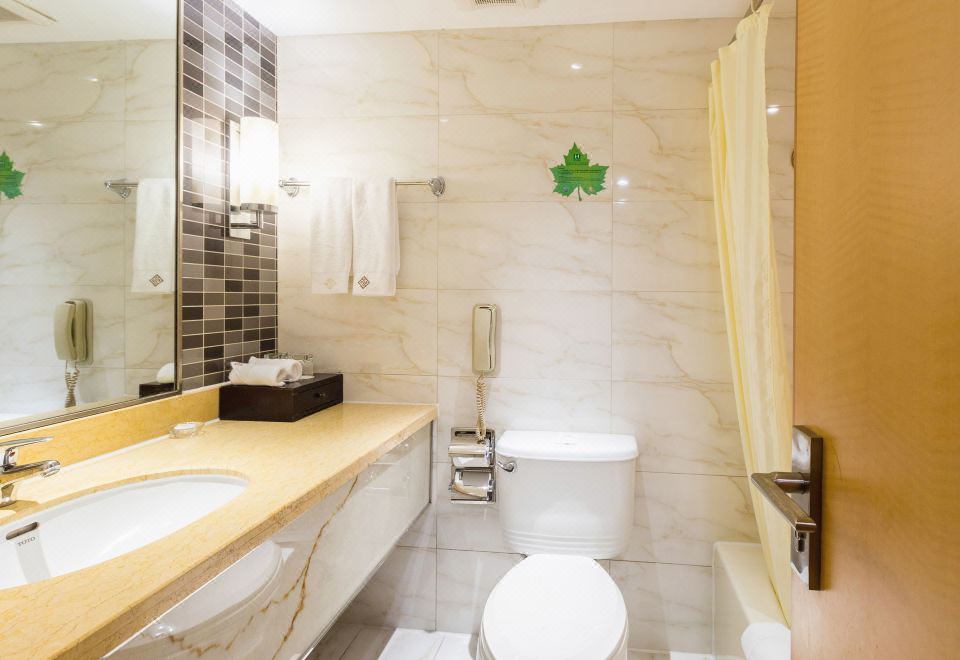 精选城景双床房