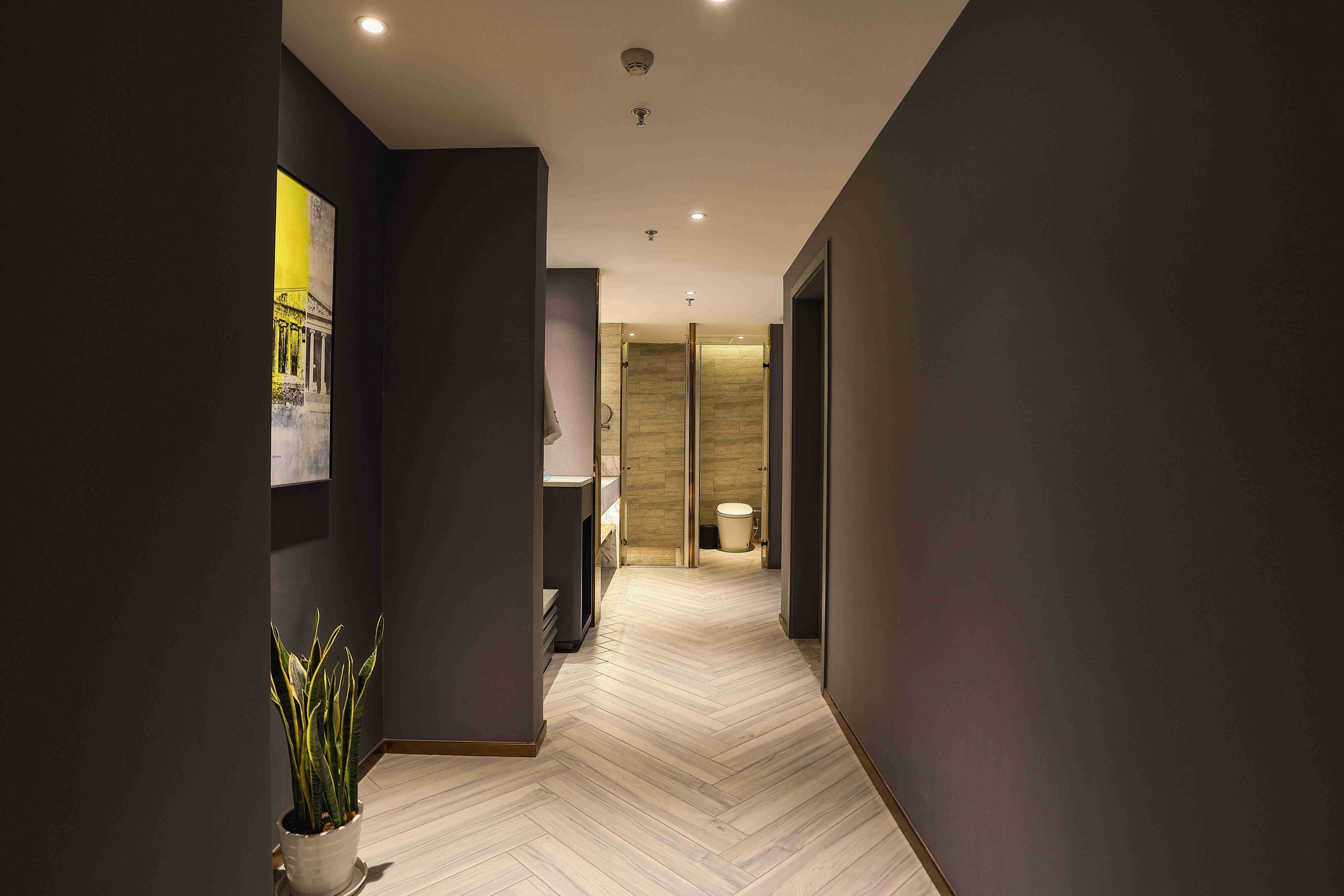 兰大师设计套房（全屋智能语音+小冰箱+独立卧室客厅）