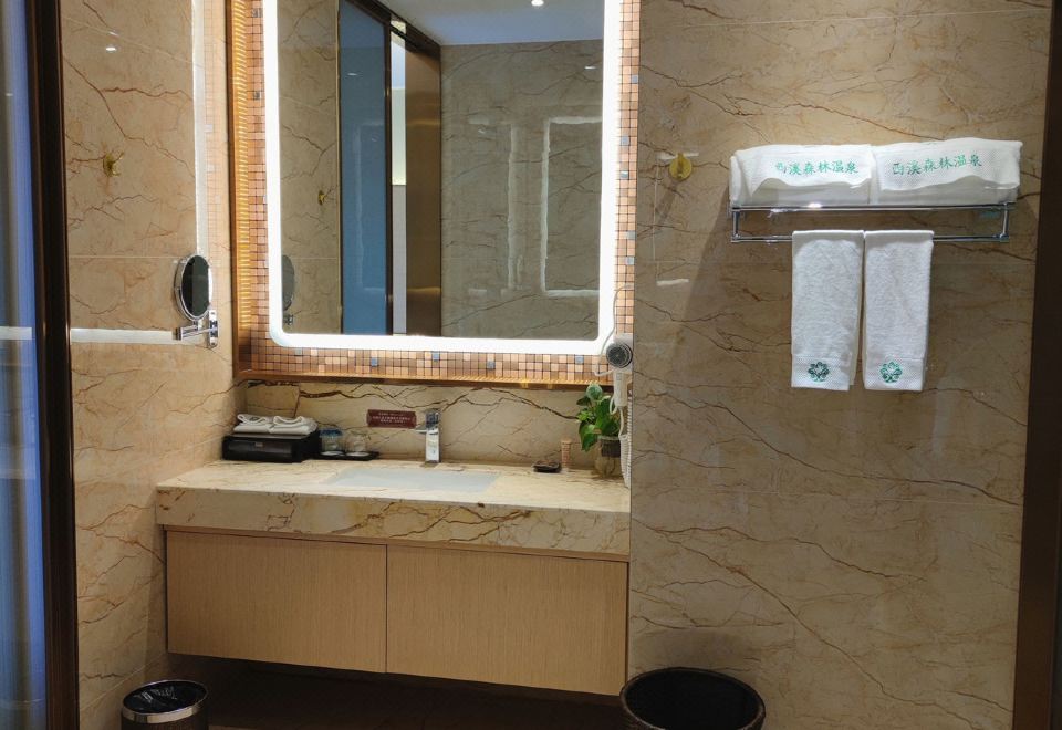 酒店B栋温泉大床房I独立泡池