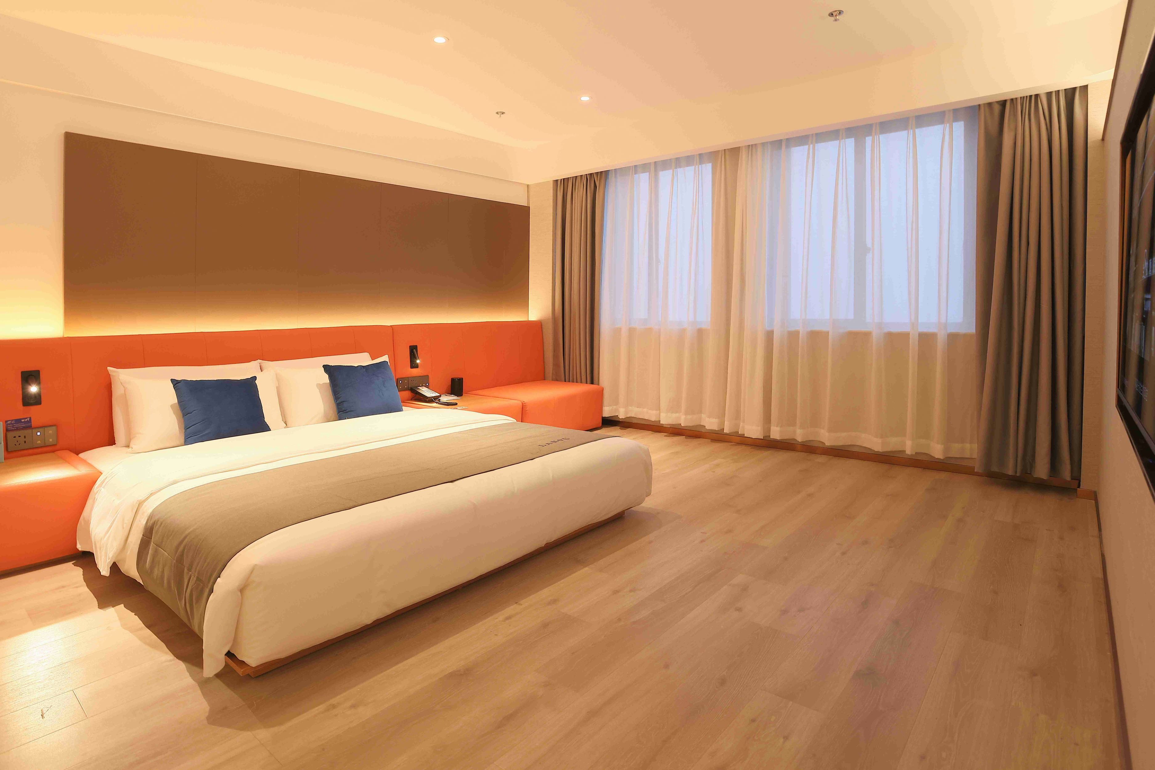 影音巨幕房（全屋智能语音控制+幕布投影）