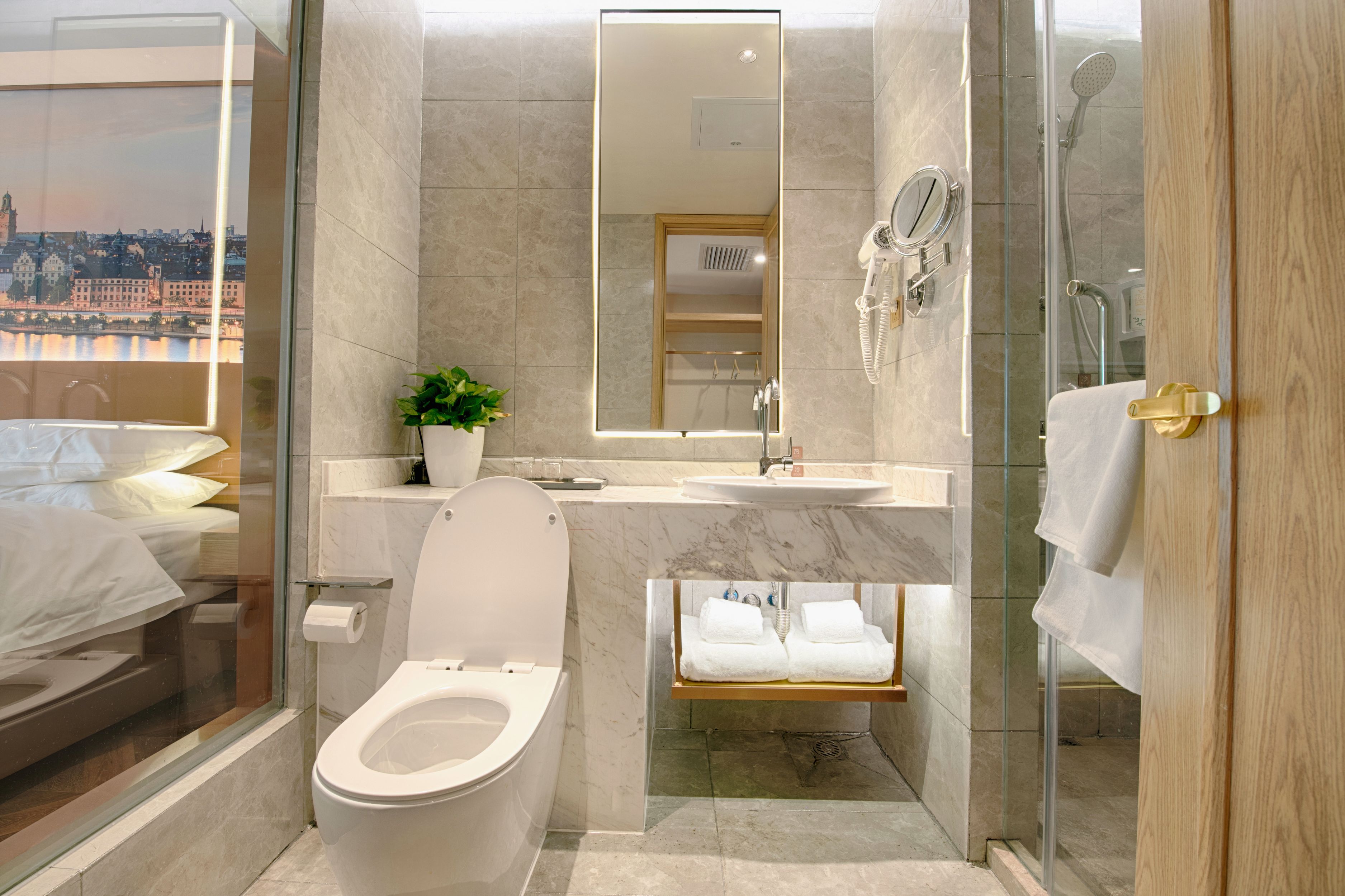 高级双床房【手机投屏+深睡床品】