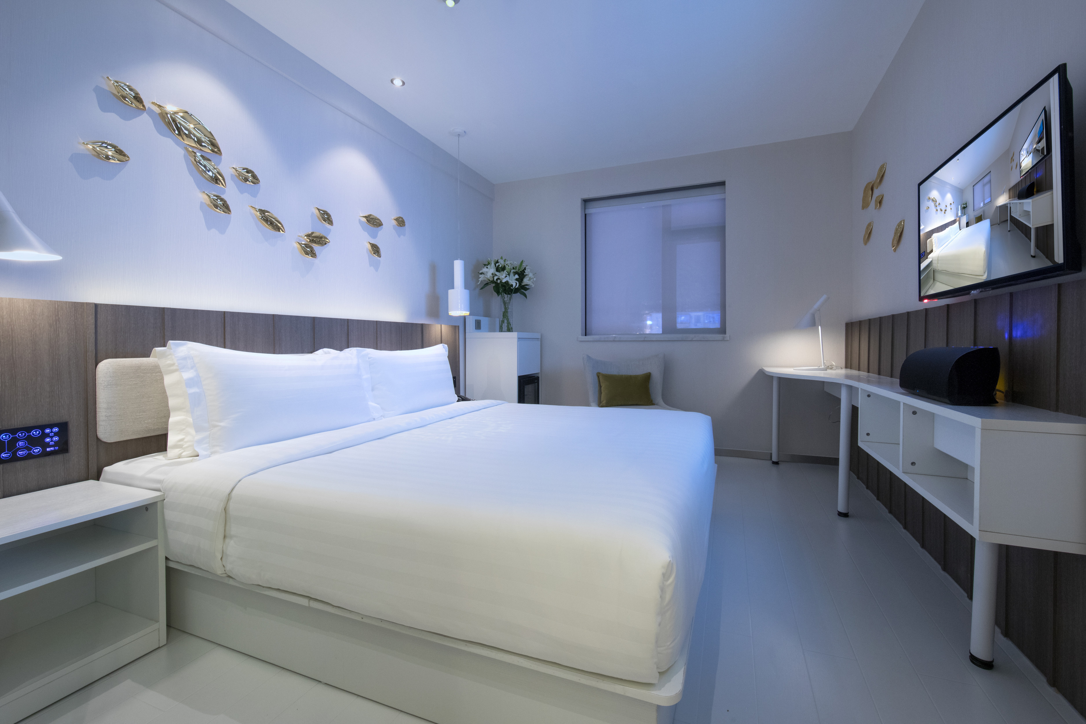 秋日传奇（小冰箱+人体工学椅）