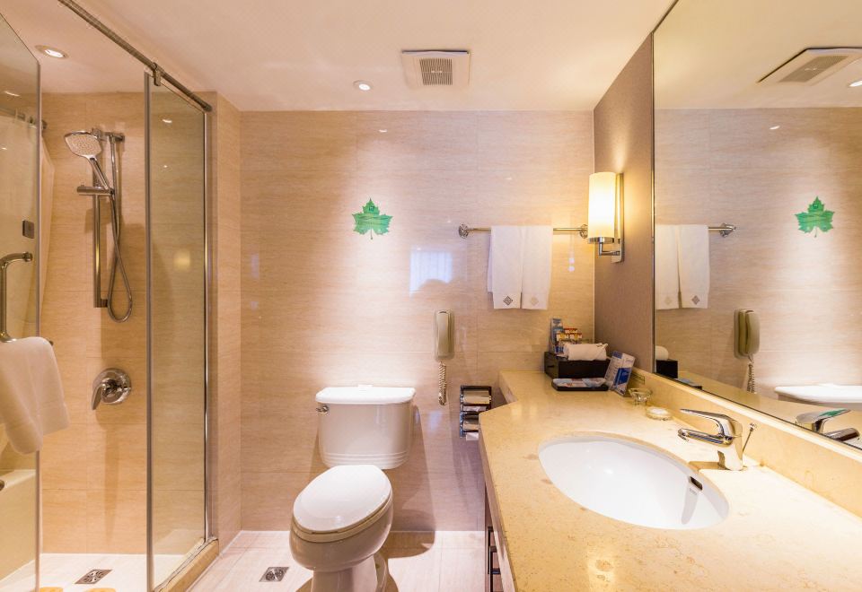 雅致湖景商务套房