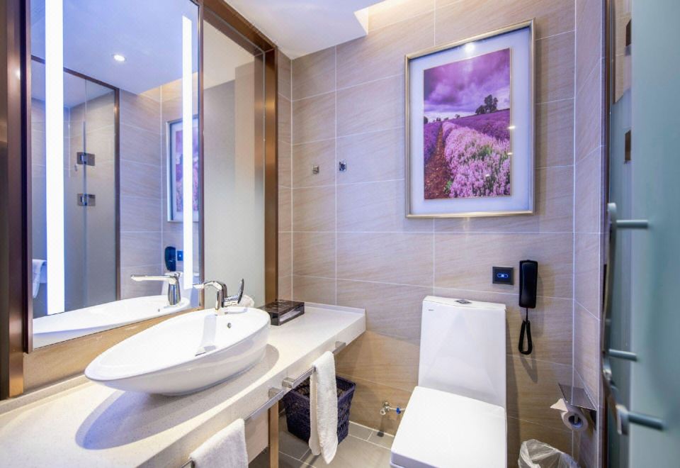 家庭房（智能客控+记忆枕）