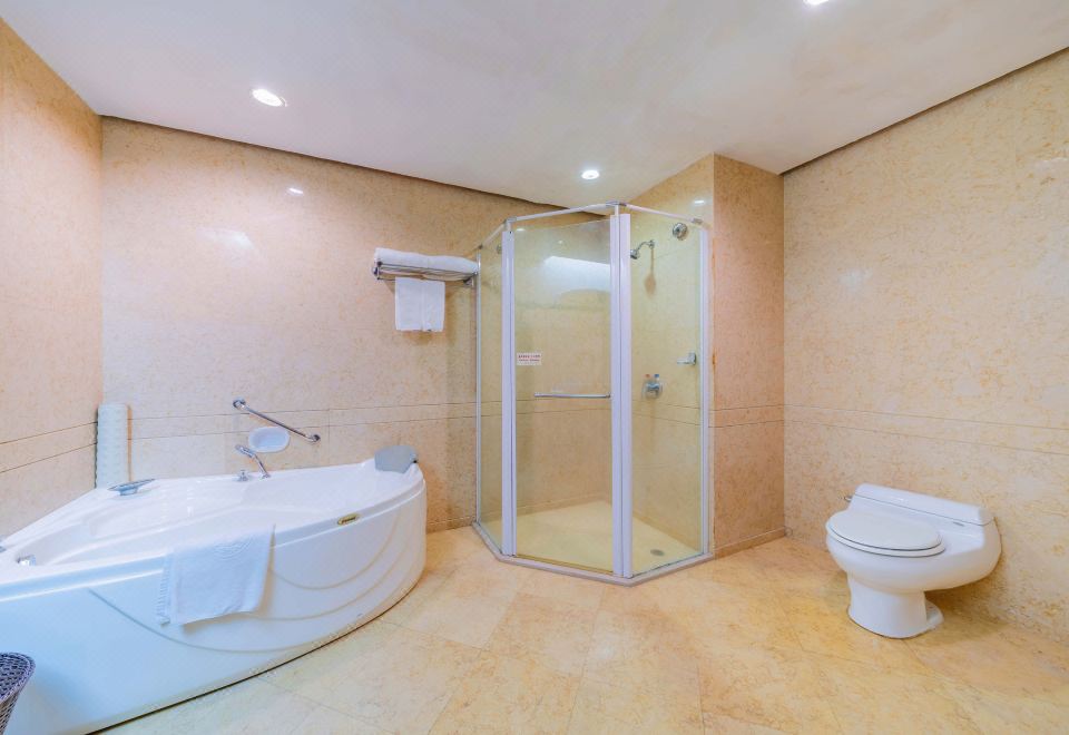 轻奢一房一厅套房