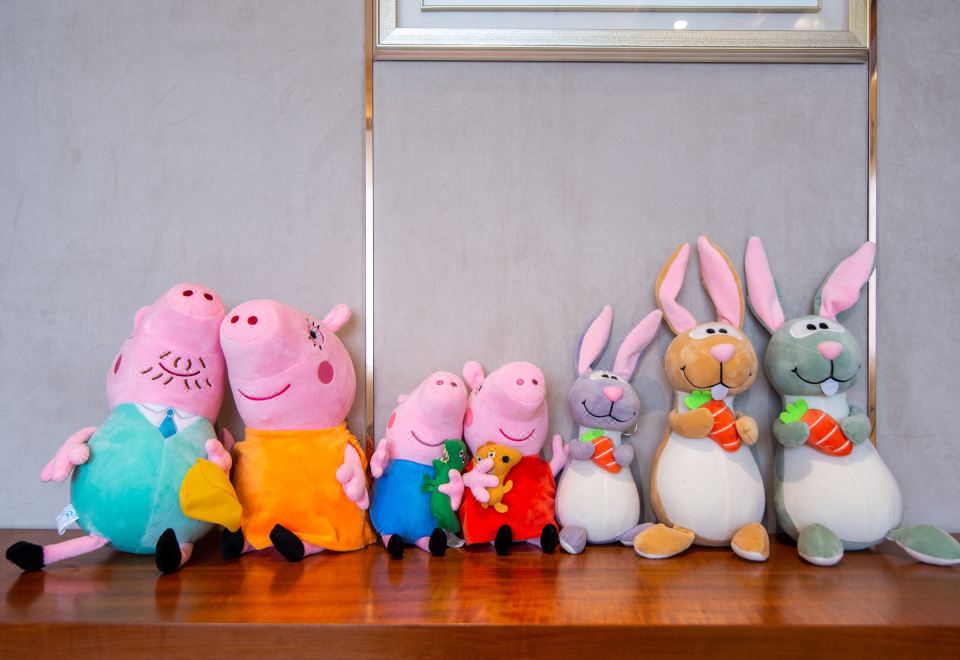 小童主題套房（超大溫馨空間，一室一廳帶大梳化床墊）