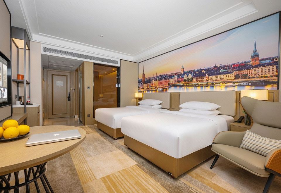 商务双床房（智能客控+养生床垫+按摩水压）