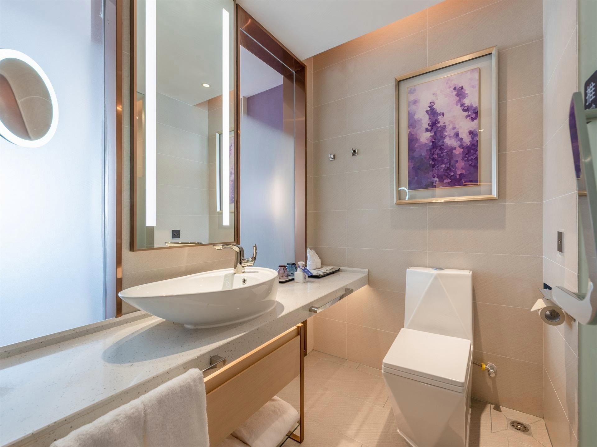 高级智能双床房（手机投屏+蓝牙音响+慕思床垫）