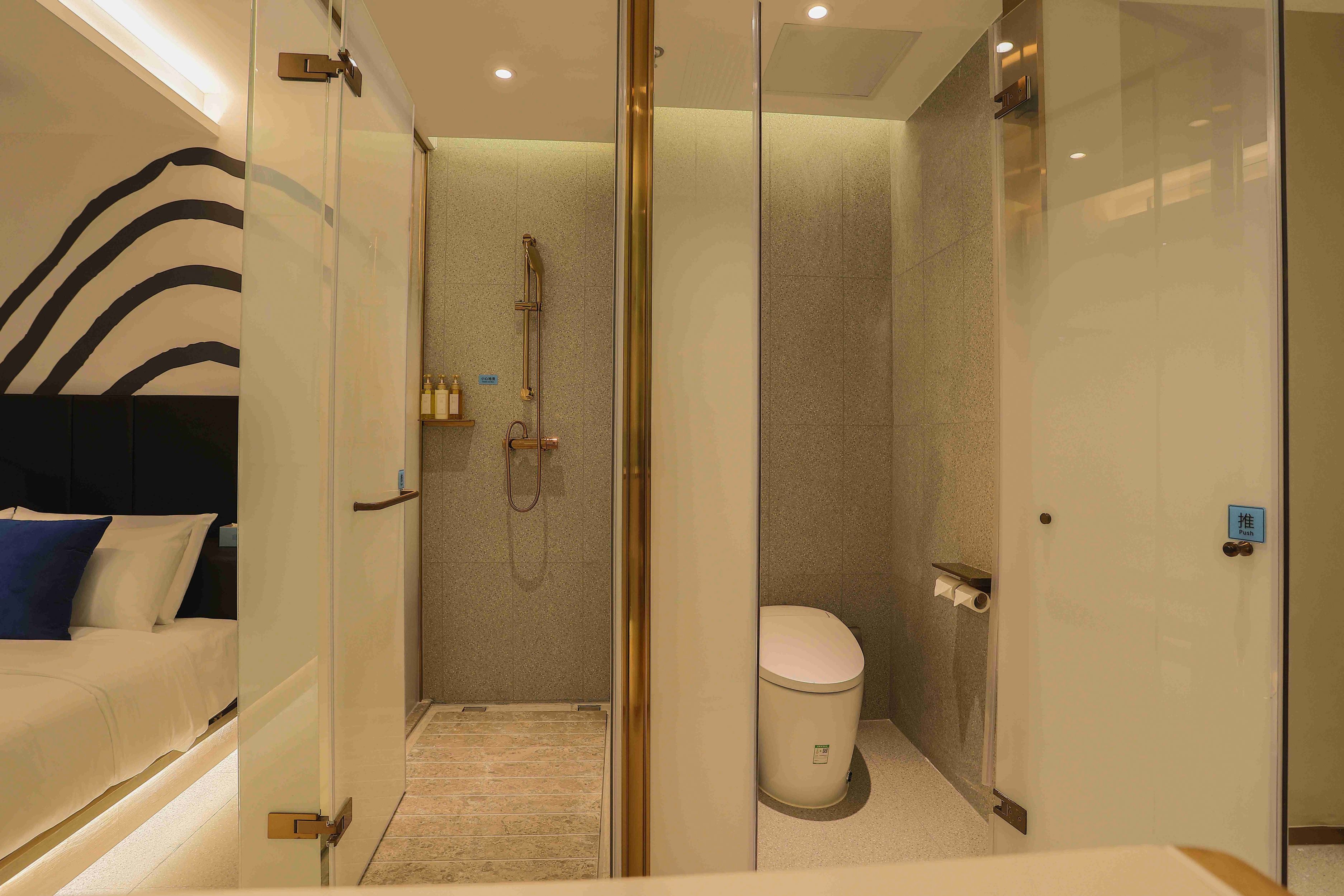 影音巨幕房（全屋智能语音控制+幕布投影）