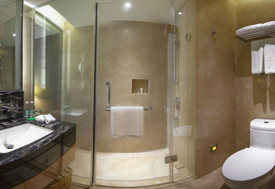 假日豪华大床房（享都市夜景）