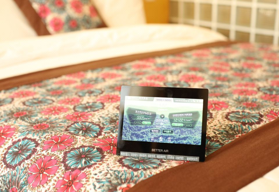 负氧离子清新大床房