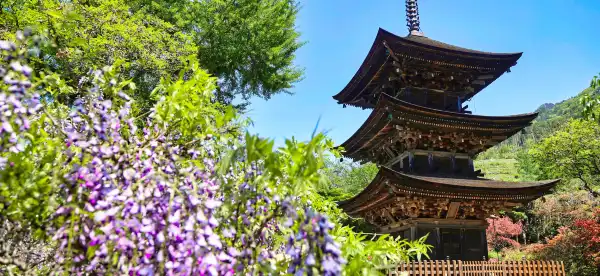 Hotels in Ueda