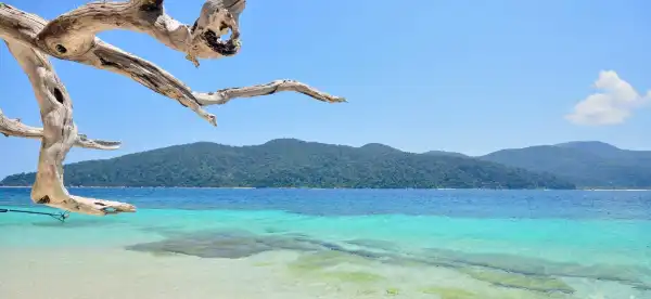 사툰 호텔
